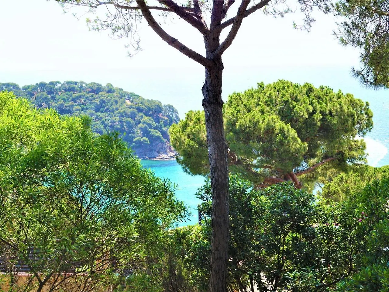 Villa Cirici Lloret de Mar España